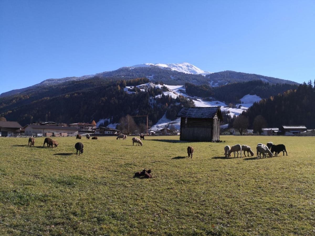 Alpen Chalet Bramberg Bramberg am Wildkogel Exteriér fotografie
